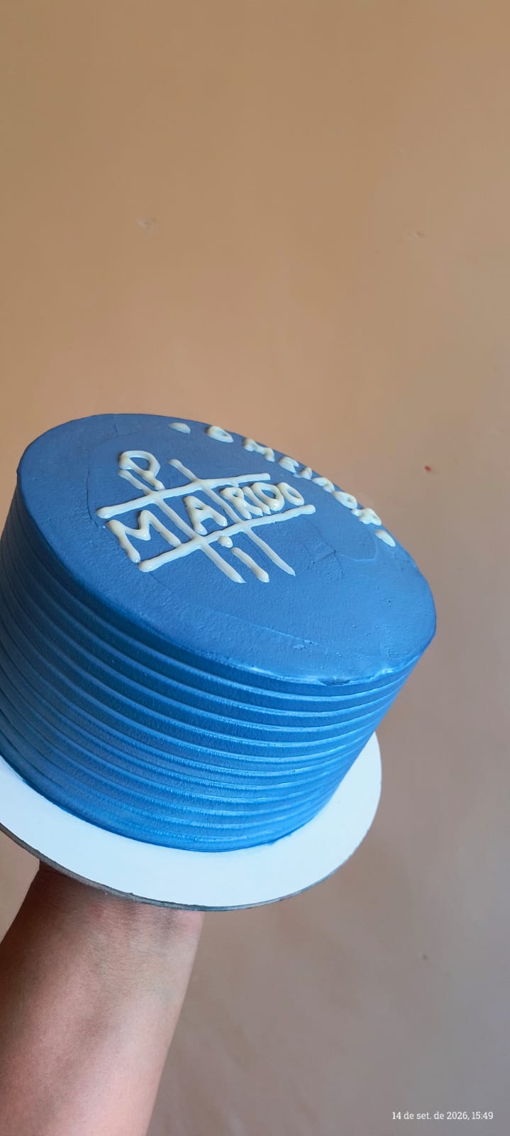 Bento Cake